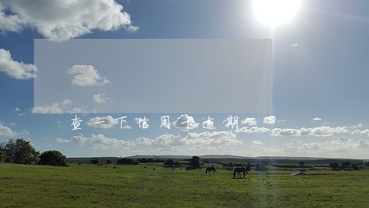 查一下信用卡逾期 查一下信用卡逾期