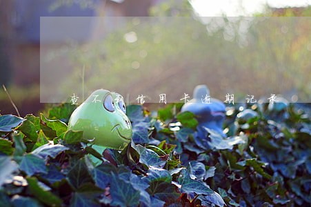 查不到信用卡逾期记录 查不到信用卡逾期记录
