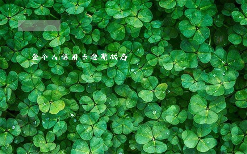 查个人信用卡逾期状态