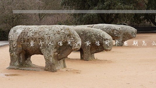 查个人信用网贷信用卡逾期怎么查 查个人信用网贷信用卡逾期怎么查