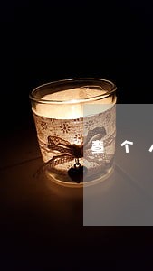 查个人征信提示五年内有逾期