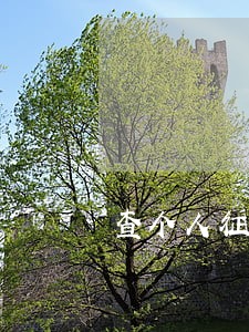 查个人征信显示逾期3 查个人征信显示逾期3