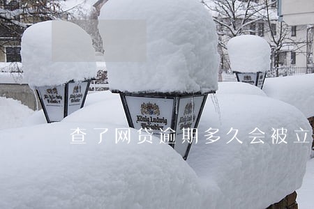 查了网贷逾期多久会被立案 查了网贷逾期多久会被立案