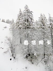 查信用卡有没有逾期记录 查信用卡有没有逾期记录