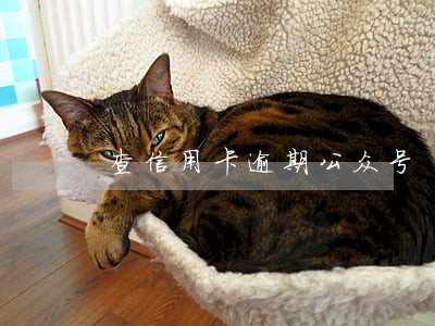 查信用卡逾期公众号 查信用卡逾期公众号