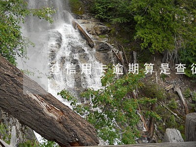 查信用卡逾期算是查征信吗