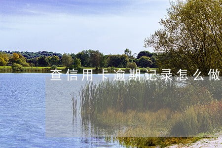 查信用卡逾期记录怎么做 查信用卡逾期记录怎么做