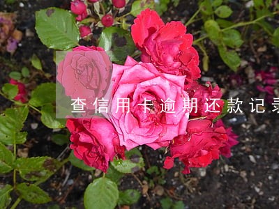 查信用卡逾期还款记录 查信用卡逾期还款记录
