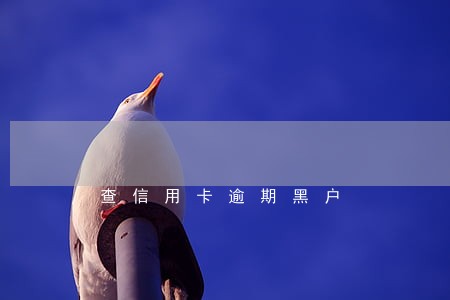 查信用卡逾期黑户 查信用卡逾期黑户