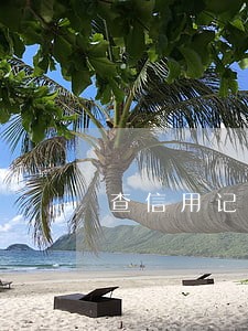 查信用记录有逾期 查信用记录有逾期