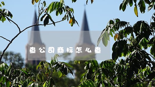 查公司商标怎么查