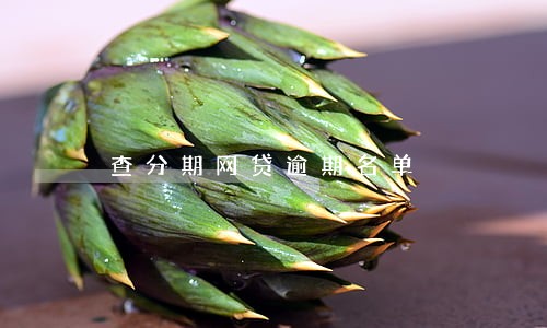 查分期网贷逾期名单 查分期网贷逾期名单