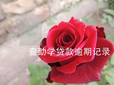 查助学贷款逾期记录