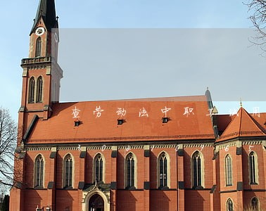 查劳动法中职工试用期社保怎么交/2023021096597 查劳动法中职工试用期社保怎么交/2023021096597