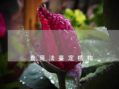 查司法鉴定机构