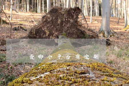 查哪个平台有逾期 查哪个平台有逾期