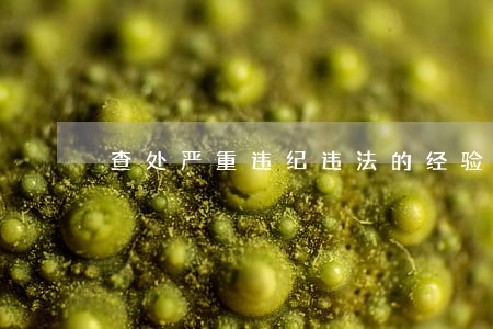 查处严重违纪违法的经验材料