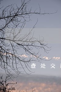 查处交通违法3300多起 查处交通违法3300多起