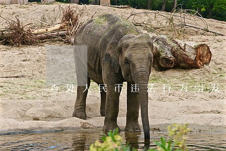 查处人民币违法行为引发的思考 查处人民币违法行为引发的思考