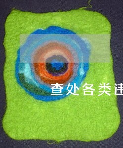查处各类违法216起 查处各类违法216起