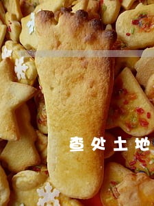 查处土地违法查处 查处土地违法查处