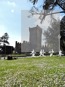 查处货车违法行为95206起