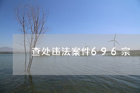 查处违法案件696宗 查处违法案件696宗