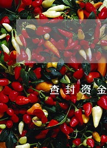 查封资金导致逾期 查封资金导致逾期
