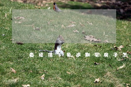 查征信3条逾期买房子怎么办