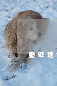 查征信信用卡逾期二十几次