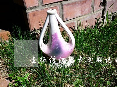 查征信信用卡逾期记录 查征信信用卡逾期记录