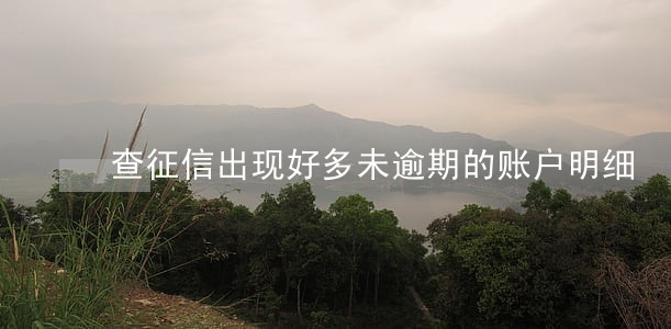 查征信出现好多未逾期的账户明细 查征信出现好多未逾期的账户明细