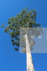 查征信怎么能把自己的逾期消除 查征信怎么能把自己的逾期消除