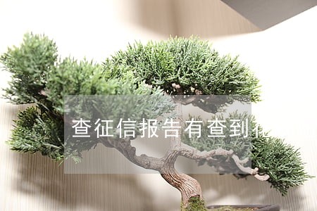 查征信报告有查到花呗逾期的吗 查征信报告有查到花呗逾期的吗