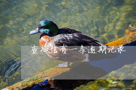 查征信有一条逾期记录 查征信有一条逾期记录
