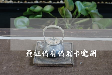 查征信有信用卡逾期 查征信有信用卡逾期