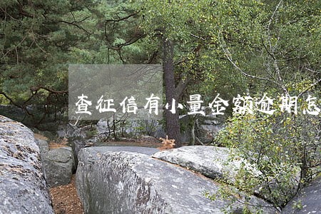 查征信有小量金额逾期怎么办 查征信有小量金额逾期怎么办