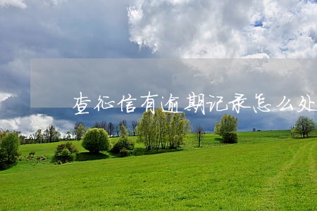 查征信有逾期记录怎么处理