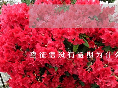 查征信没有逾期为什么会收到传票 查征信没有逾期为什么会收到传票