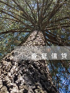 查征信贷款有逾期记录 查征信贷款有逾期记录