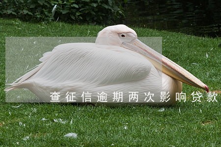 查征信逾期两次影响贷款吗 查征信逾期两次影响贷款吗
