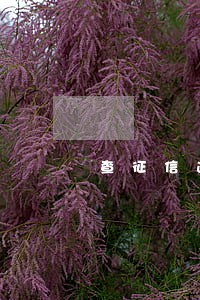 查征信逾期多久会上征信 查征信逾期多久会上征信