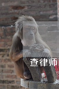 查律师的专长 查律师的专长