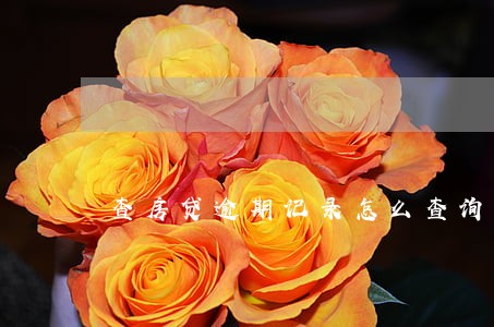 查房贷逾期记录怎么查询 查房贷逾期记录怎么查询