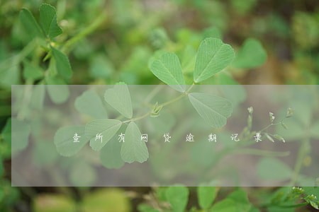 查所有网贷逾期记录 查所有网贷逾期记录