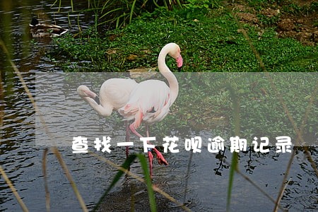 查找一下花呗逾期记录 查找一下花呗逾期记录