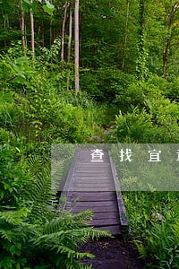 查找宜章律师 查找宜章律师