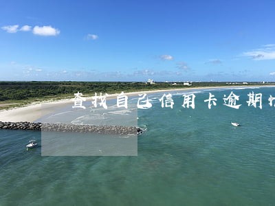 查找自己信用卡逾期情况 查找自己信用卡逾期情况