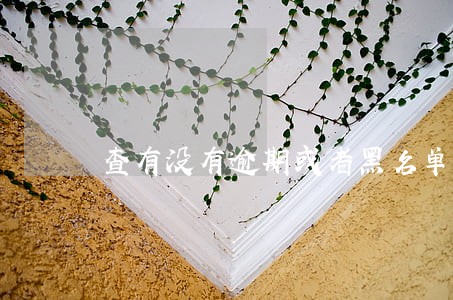 查有没有逾期或者黑名单怎么查 查有没有逾期或者黑名单怎么查