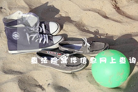查法院案件信息网上查询 查法院案件信息网上查询